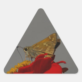 蛾と赤の《植物》百日草 三角形シール