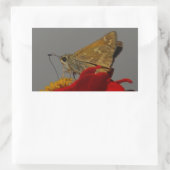 蛾と赤の《植物》百日草 長方形シール (バッグ)