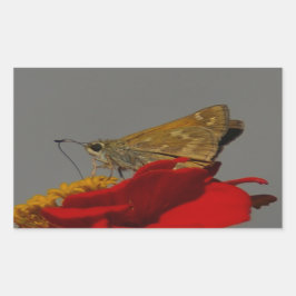 蛾と赤の《植物》百日草 長方形シール