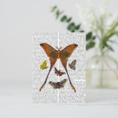 蛾のプレート2 ポストカード (スタンド正面)