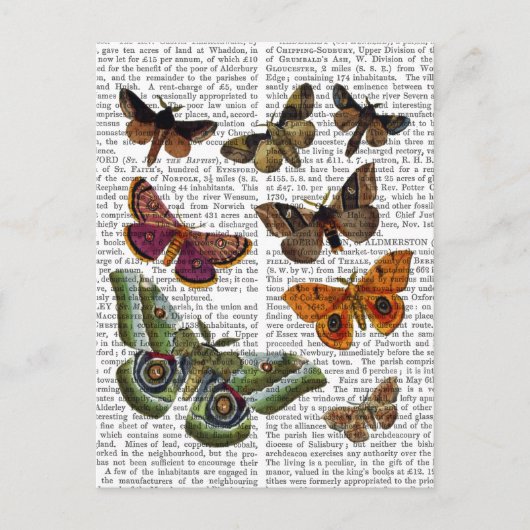 蛾のプレート3 ポストカード (正面)