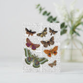 蛾のプレート3 ポストカード (スタンド正面)