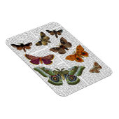 蛾のプレート3 マグネット (右側)