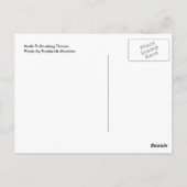 蛾の受粉の花 ポストカード (裏面)