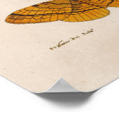 蛾の科学イラストレーションプリント ポスター (角)