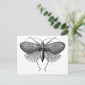 蛾の科学イラストレーション ポストカード (スタンド正面)