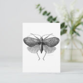 蛾の科学イラストレーション ポストカード (スタンド正面)
