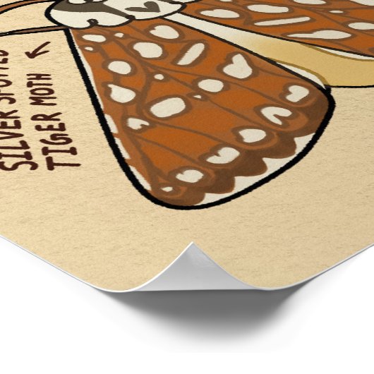 蛾の種類 ポスター (角)