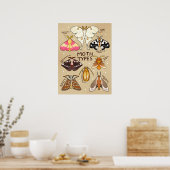 蛾の種類 ポスター (キッチン)