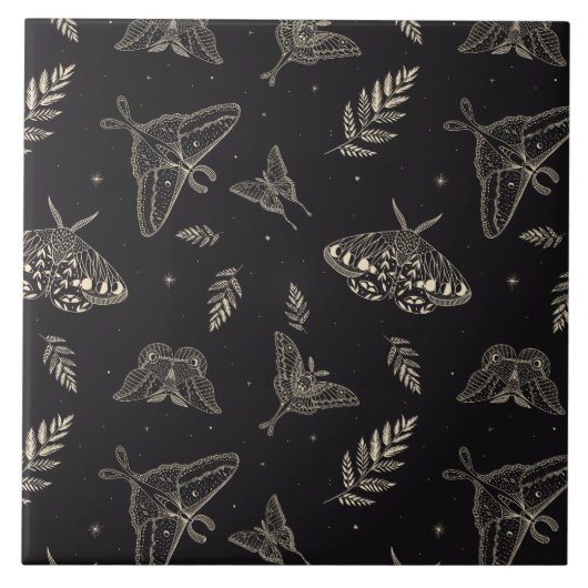 蛾の蝶のパターン タイル (正面)