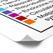 蛾の蝶の鱗翅目の内部形態 ポスター (角)