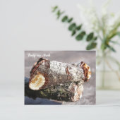 蛾の魔法：バフ先端「壊れた小枝」蛾のはがき ポストカード (スタンド正面)