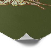 蛾図解入りの、写真付きの虫のポスター ポスター (角)