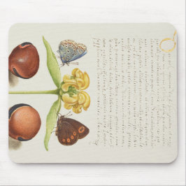 蛾、エルサレム賢人、豆の書道 マウスパッド