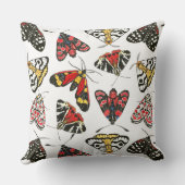 蛾 クッション (裏面)