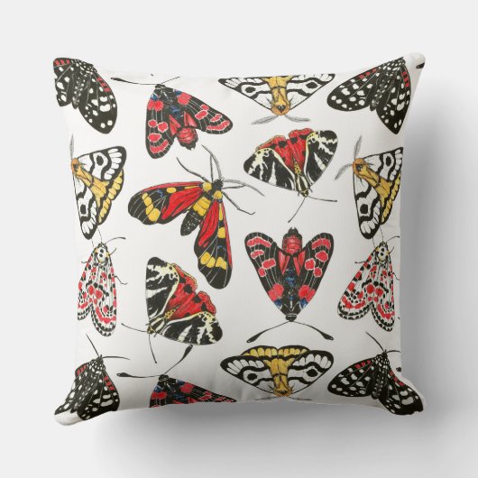 蛾 クッション (裏面)