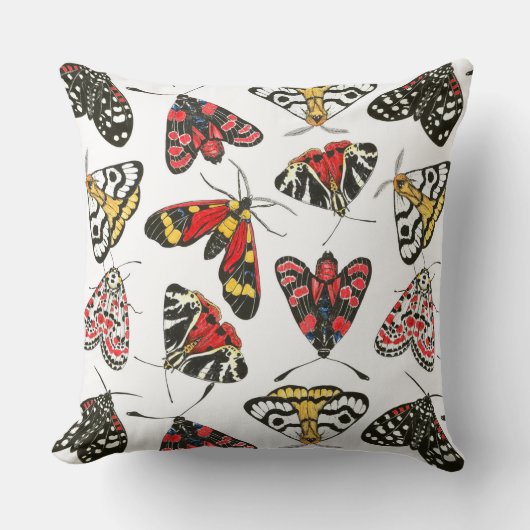 蛾 クッション (正面)