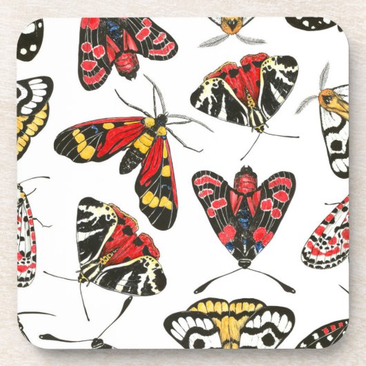 蛾 コースター (正面)