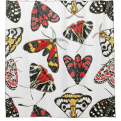 蛾 シャワーカーテン (正面)