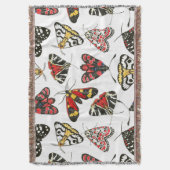 蛾 スローブランケット (正面縦)