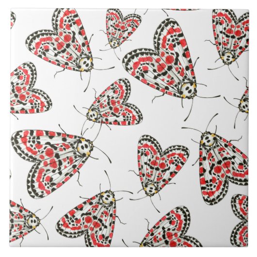 蛾 タイル (正面)