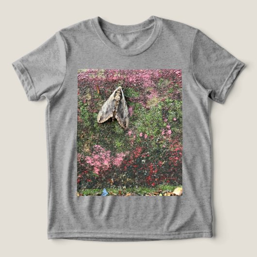 蛾 トライブレンドＴシャツ (デザイン正面)