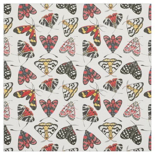 蛾 ファブリック (見本)