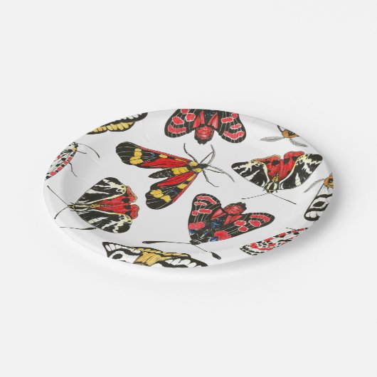 蛾 ペーパープレート (アングル)