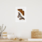 蛾 ポスター (キッチン)