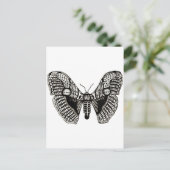 蛾 ポストカード (スタンド正面)