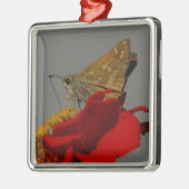 蛾 メタルオーナメント (左)