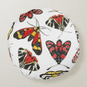 蛾 ラウンドクッション (裏面)