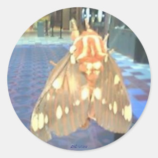 蛾 ラウンドシール