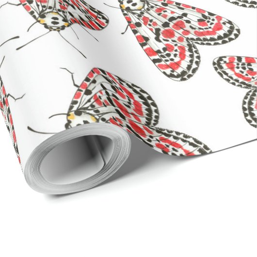 蛾 ラッピングペーパー (ロールコーナー)