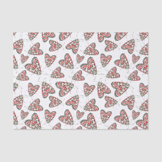 蛾 薄葉紙 (正面)