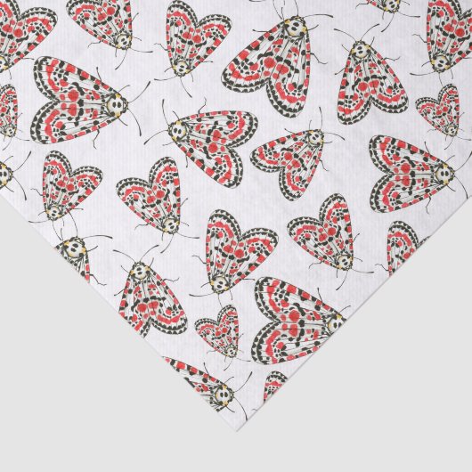 蛾 薄葉紙 (詳細)