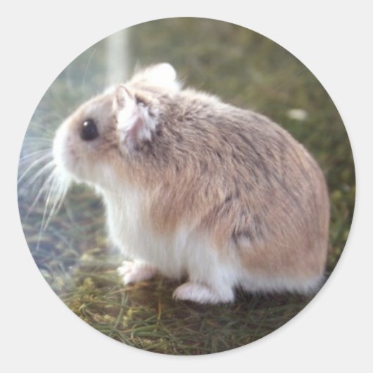 「蜂か？」 - Tac Sticker ラウンドシール (正面)