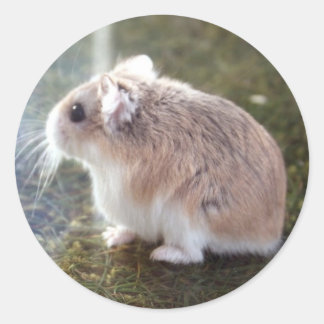 「蜂か？」 - Tac Sticker ラウンドシール