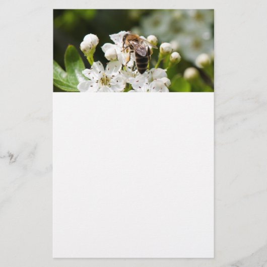 蜂が花粉を集める チラシ (正面)