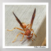 蜂だ！ポスター ポスター (正面)