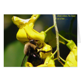 蜂として忙しい