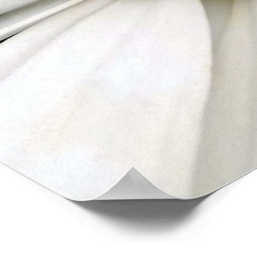 蜂とデイジー ポスター (角)