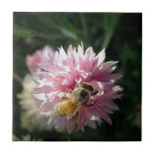 蜂とピンクの花 タイル (正面)