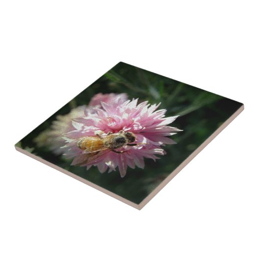 蜂とピンクの花 タイル (側面)