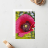 蜂とポピー ノートカード (正面/裏面インサイチュ)