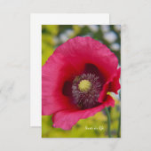 蜂とポピー ノートカード (正面/裏面)