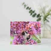 蜂と仏 ポストカード (スタンド正面)