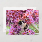 蜂と仏 ポストカード (正面/裏面)