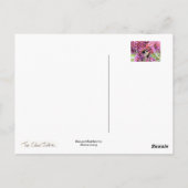 蜂と仏 ポストカード (裏面)