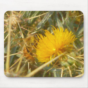 蜂と星アザミ(Centaurea solstialis) マウスパッド